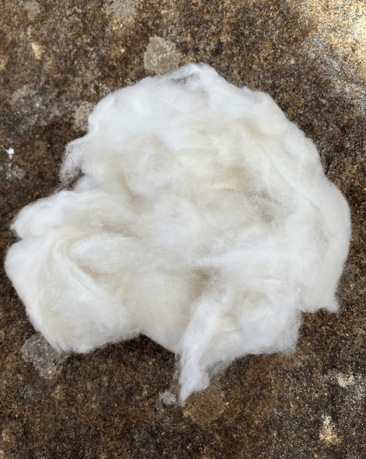100% Cashmere Spinning Fibre