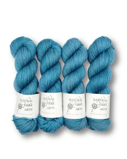 DK Extra Fine Merino Superwash | 100g Skein | Natural Fibre Arts